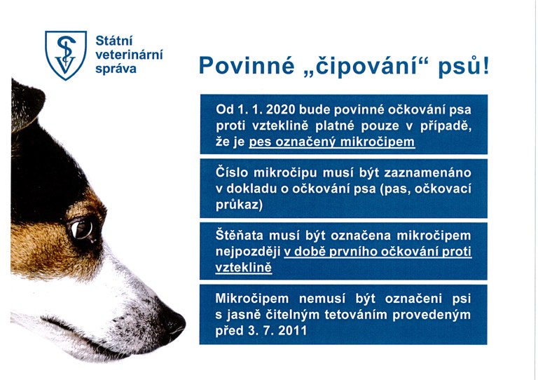 Povinné čipování psů
